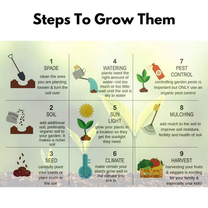 Elegant Climbing Rose Flower Seeds - NeworldStore