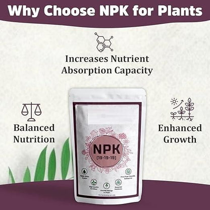 NPK Fertilizer For Plants 350gm - NeworldStore