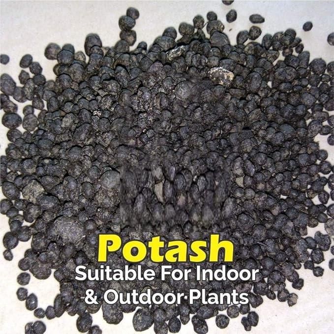 Organic Potash Fertilizer 350gm - NeworldStore
