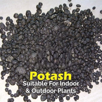 Organic Potash Fertilizer 350gm - NeworldStore