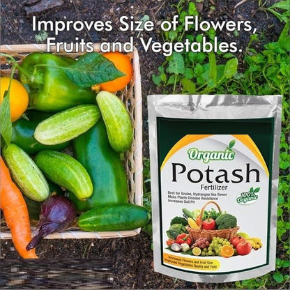Organic Potash Fertilizer 350gm - NeworldStore