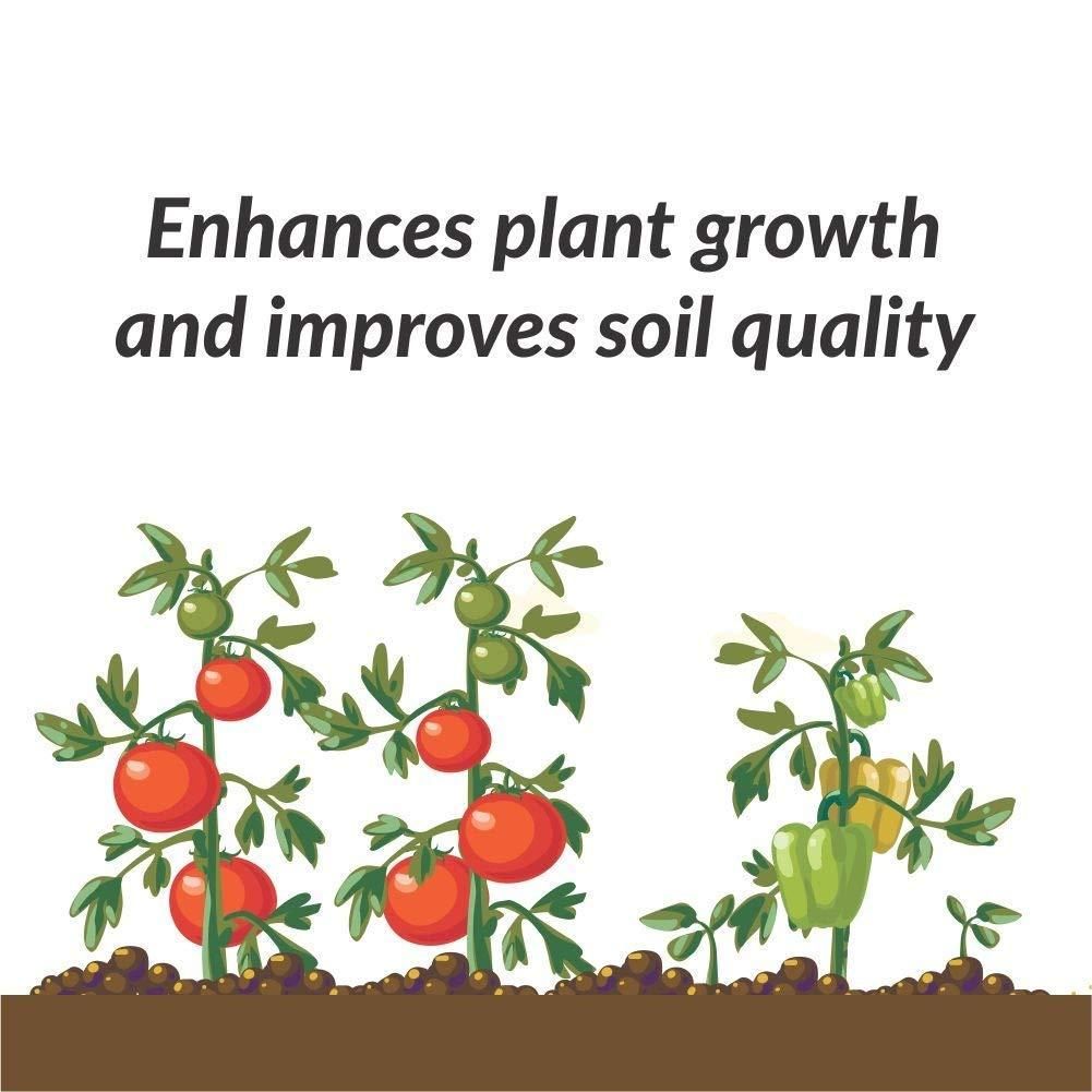 Organic Potash Fertilizer 350gm - NeworldStore