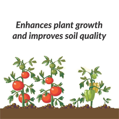 Organic Potash Fertilizer 350gm - NeworldStore