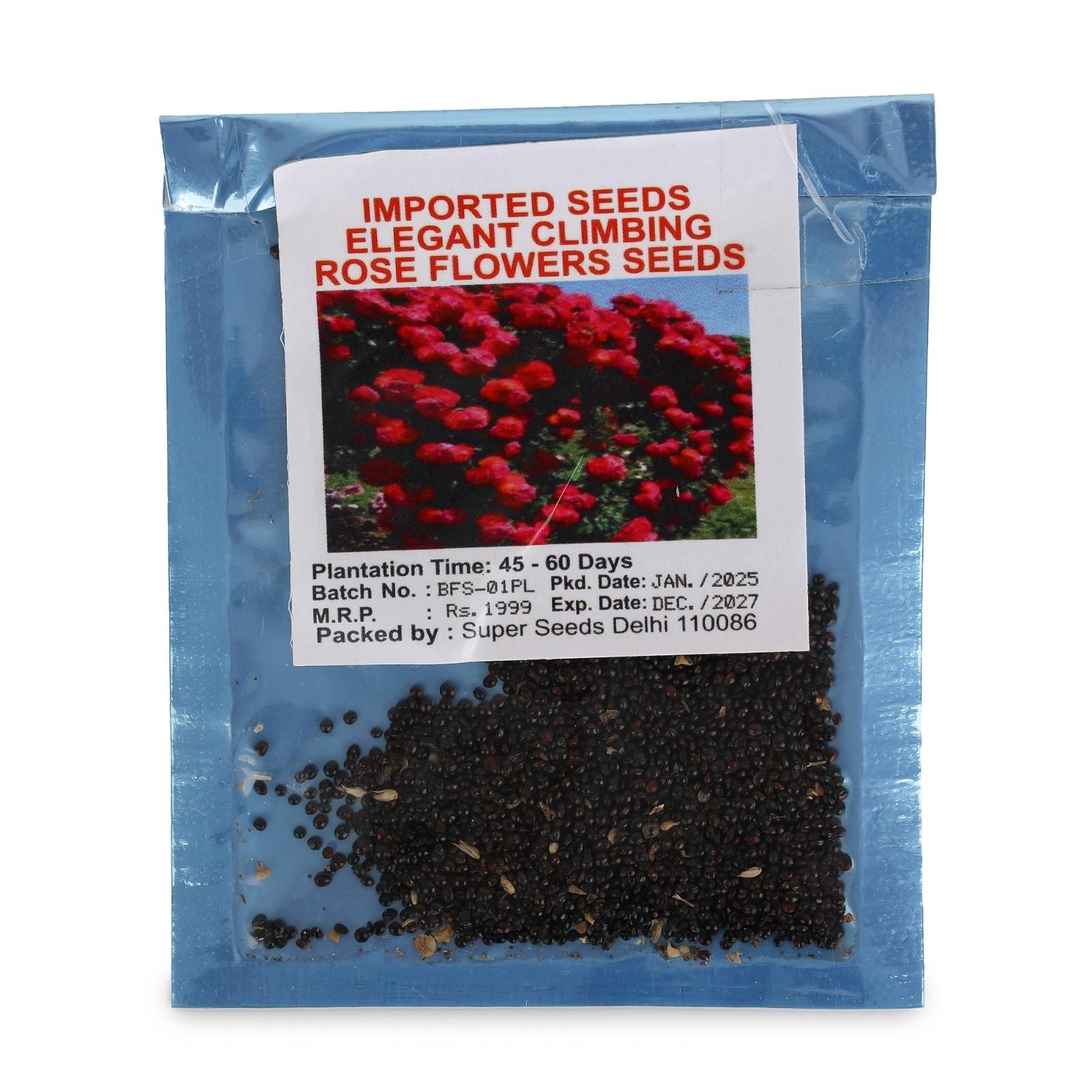 Elegant Climbing Rose Flower Seeds - NeworldStore