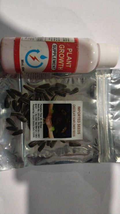 Chocolate Sunflower Seeds - NeworldStore