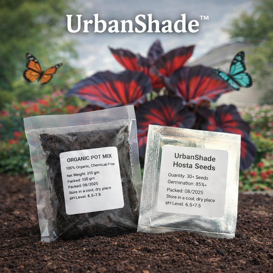 UrbanShade™ Hosta Plant Seeds